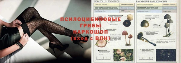 прущий лед Заволжье