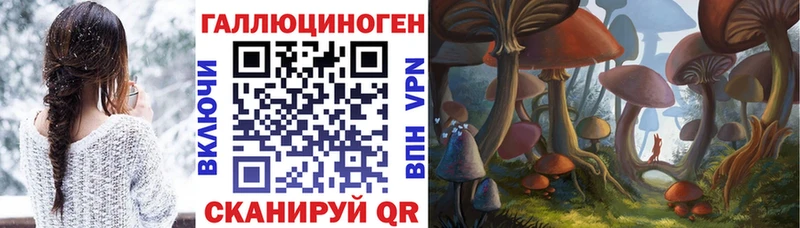Галлюциногенные грибы GOLDEN TEACHER  магазин продажи наркотиков  Кедровый 